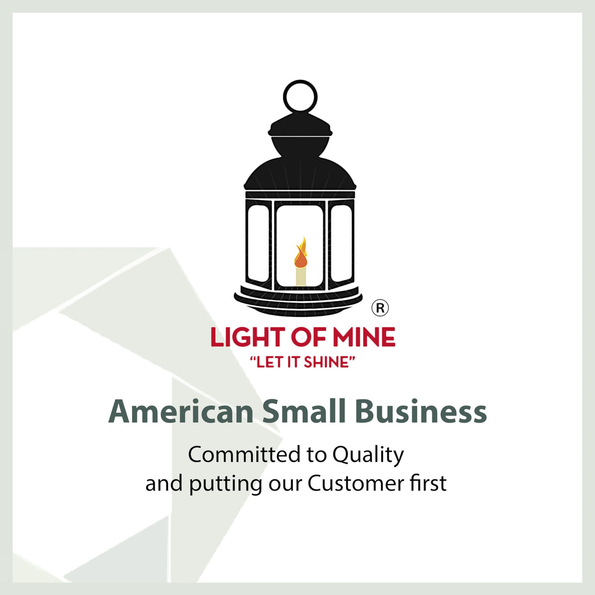 LIGHT OF MINE Oil Lantern - Dietz #20 Junior, Bronze, Borosilicate Glass, 100% Cotton Replacement Wick Strips