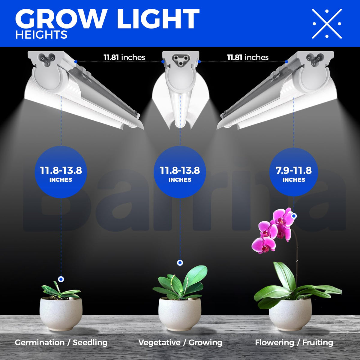 Barrina T8 Grow Lights for Indoor Plants, 4FT V-Shape, 168W, 5000K Daylight White, Linkable, 4 Packs