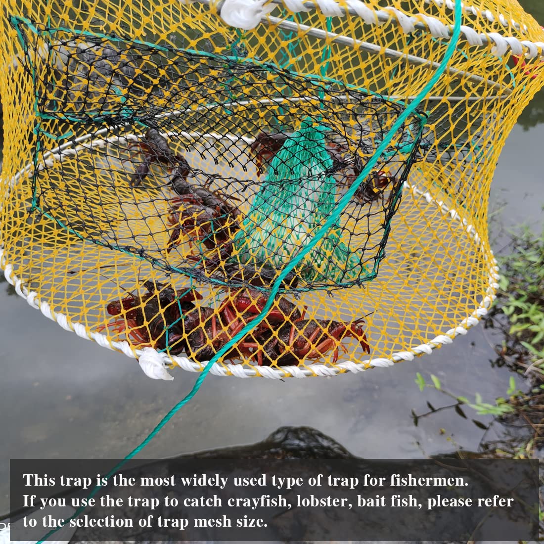 Drasry Crab Trap Bait Lobster Crawfish Shrimp Portable Folded Cast Net Magic Collapsible Fishing Traps Nets Accessories for Blue Crabs 2PCS (23 in * 9.8 in) Green (0.61 in Mesh)