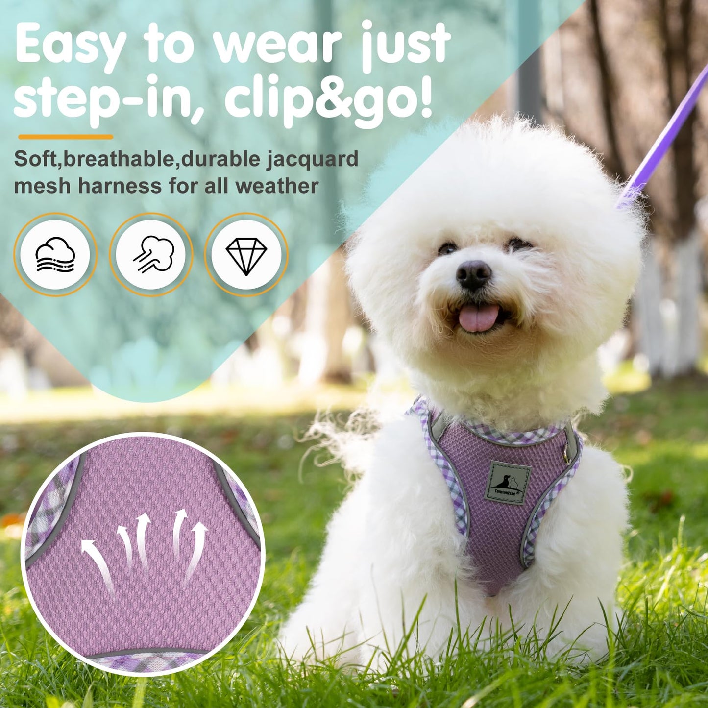 TomteNisse Dog Harness & Leash Set - No Pull Soft Breathable Small Dog Harness, Adjustable Reflective Step-in Vest for Puppy, Kitten, Cats