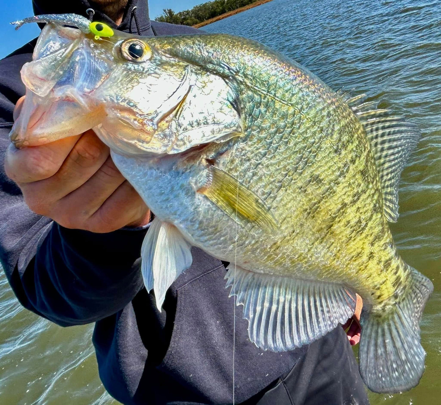 Bobby Garland Live Roam'R - Bleeding Shad - 1.75"