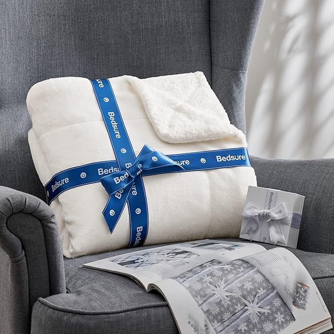 Bedsure GentleSoft Sherpa Fleece Throw Blanket Twin Size for Couch - Thick and Warm, Soft Fuzzy Plush Twin Blanket for Winter, White, 60x80 Inches