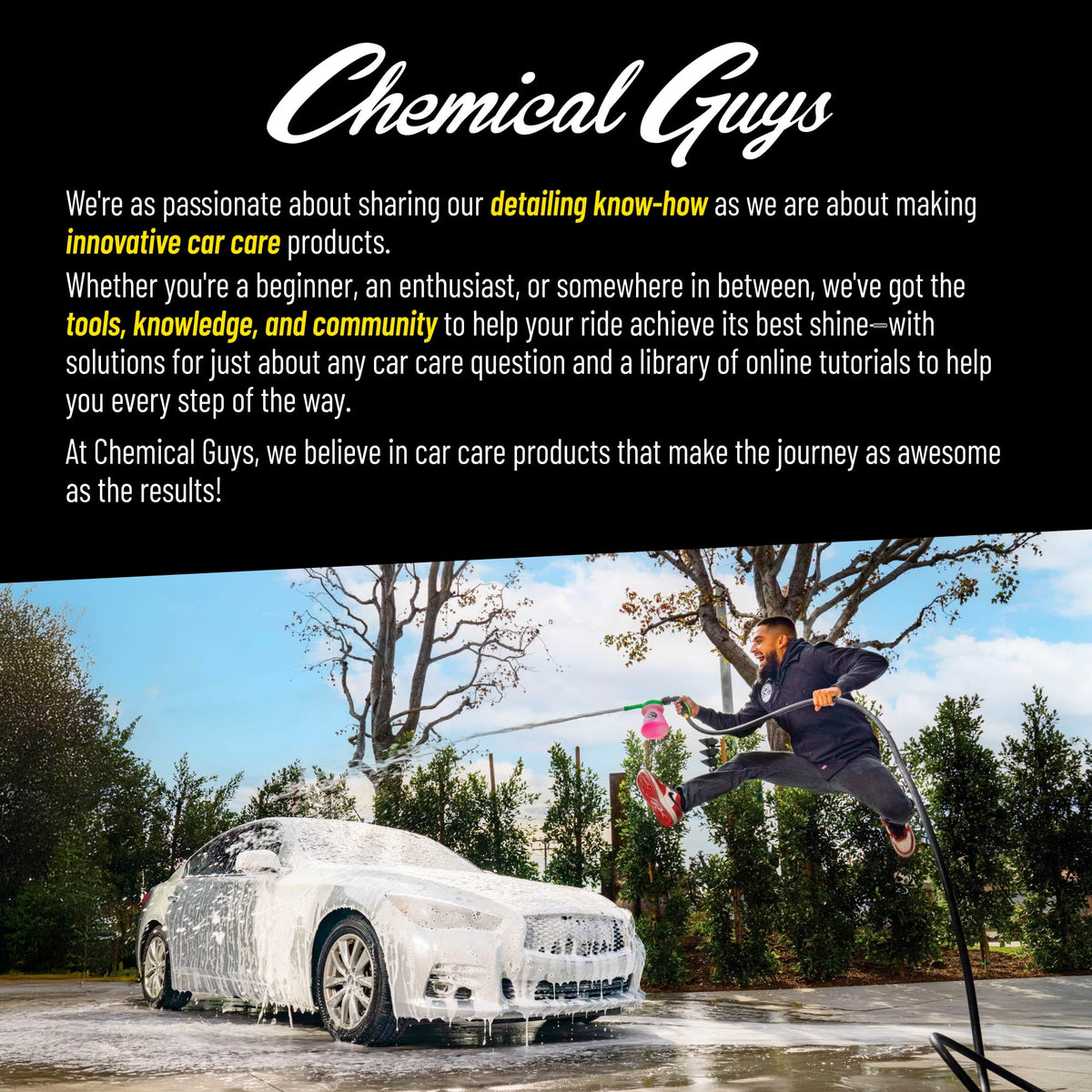 Chemical Guys VSS Scratch & Swirl Remover - 16oz