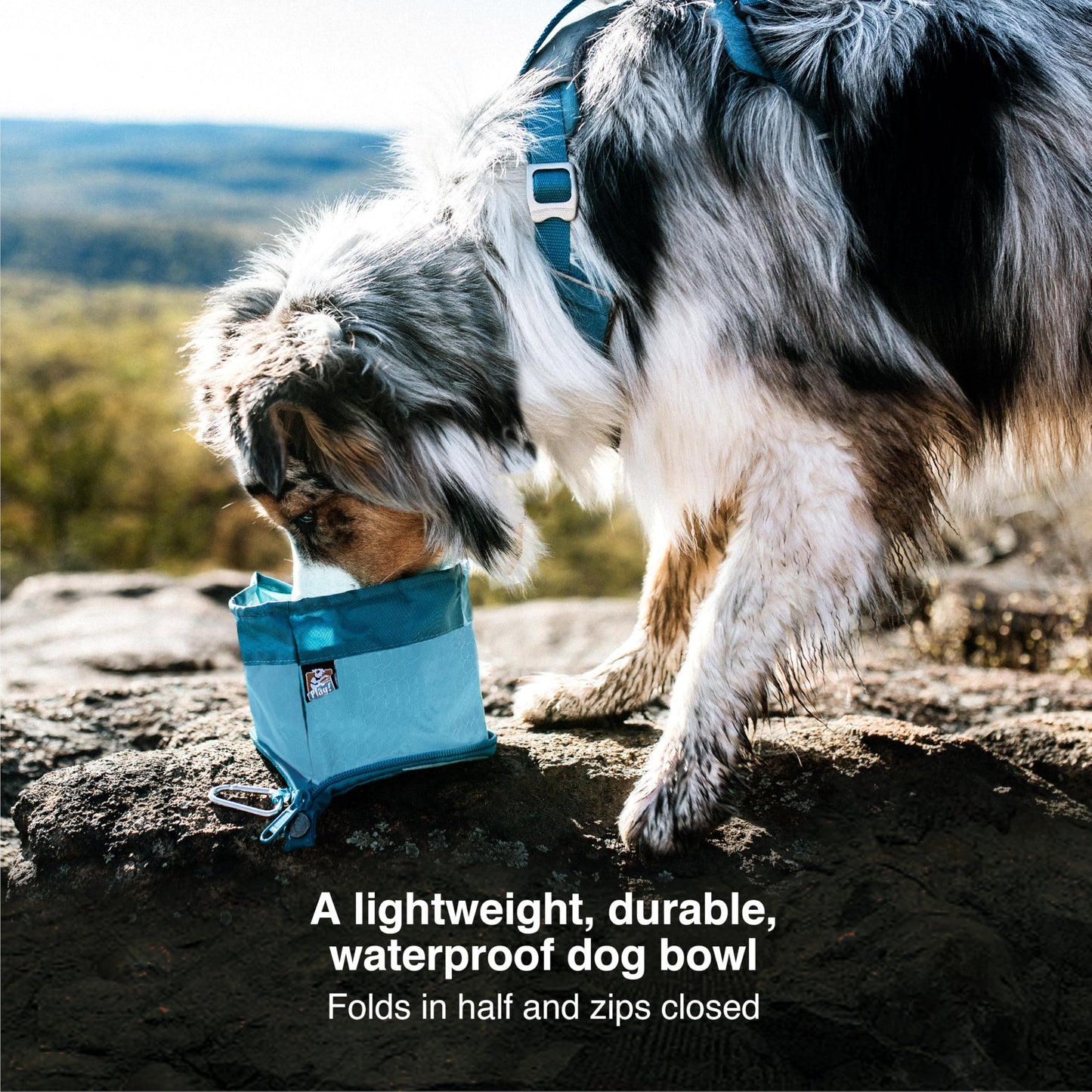 Kurgo Zippy Bowl for Dogs, Collapsible Travel Dog Bowls, Pet Food & Water Hiking Container, Food Grade Silicone, Travel Accessories for Pets, Includes Carabiner, Holds 48 oz (Barn Red)