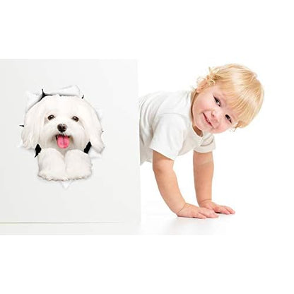 Winston & Bear 3D Dog Stickers - 2 Pack - Cute Maltese Dog Decals for Wall, Fridge, Toilet and More - Retail Packaged Maltese Stickers