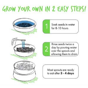 Handy Pantry Complete Sprouts Growing Kit | Sprouting Kit with 3 Stackable Sprouting Trays | Seed Sprouter, BPA-Free | Includes Organic Sprouting Seeds & Instructions