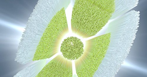 Philips Sonicare W DiamondClean - Genuine Replacement Electric Toothbrush Heads, White, 4 Pack One Year Supply, HX6064/65