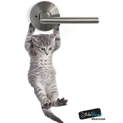 Cute Hanging Baby Kitten cat Door Decal Sticker #6067A