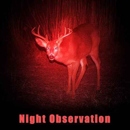Honoson 8 Pieces Red Light Flashlight LED Single Mode Torch 1 Mode Scalable Red Lens Filter Flashlight for Night Astronomy Aviation Observation Beach Safe