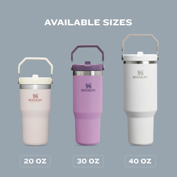 Stanley IceFlow Stainless Steel Tumbler - Vacuum Insulated Water Bottle for Home, Office or Car Reusable Cup with Straw Leak Resistant Flip Cold for 12 Hours or Iced for 2 Days, Ash, 30OZ