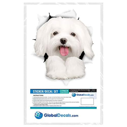 Winston & Bear 3D Dog Stickers - 2 Pack - Cute Maltese Dog Decals for Wall, Fridge, Toilet and More - Retail Packaged Maltese Stickers