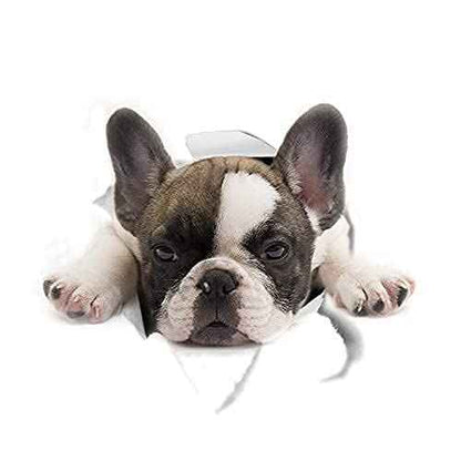 Puppy Dog Wall Decals Peel and Stick for Girls Bedroom Kids Room Decor, 12"H Golden Retriever and Bulldog Stickers for Car and Wall
