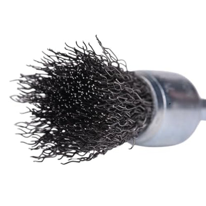 Century Drill & Tool 76203 Coarse Crimped Wire End Brush, 3/4" ? Removes Rust, Paint, Weld Spatter, Ideal for Recessed Areas, Pipes, and Spot Cleaning