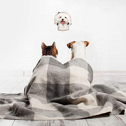 Winston & Bear 3D Dog Stickers - 2 Pack - Cute Maltese Dog Decals for Wall, Fridge, Toilet and More - Retail Packaged Maltese Stickers