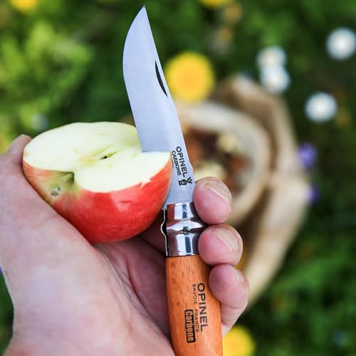 Opinel No. 06 Carbone - Carbon Steel Folding Pocket Knife, Beechwood Handle, 2.87 in. Blade, Virobloc Safety Locking Collar, Made in France
