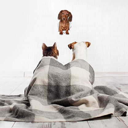 Winston & Bear 3D Dog Stickers - 2 Pack - Long Haired Brown Dachshund for Wall, Fridge, Toilet and More - Doxie 3D Decals - Retail Packaged Sausage Dog