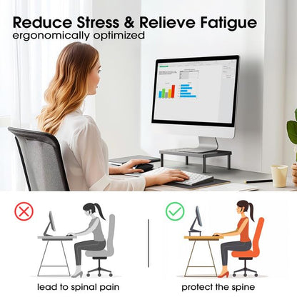 WiseBegan Monitor Stand for Desk - Ergonomic Monitor Riser, Laptop Stand with Non-Slip Pads, Sturdy & Stable Computer Stand with Cooling Holes, Desk Organizer for Laptop, Printer, 14.1''×9.4''×3.9''