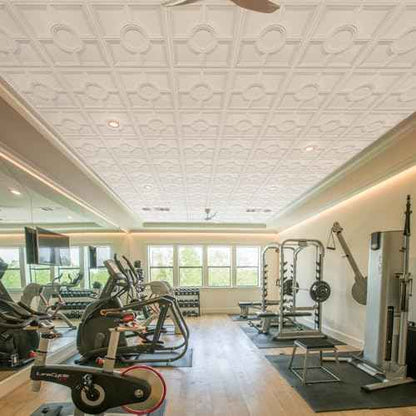 STICKGOO Drop Ceiling Tiles 24 x 24in, Waterproof, Premium PVC Ceiling Panels to Prevent Breakage, Pack of 12 Tiles Cover 48 Sq. Ft, White