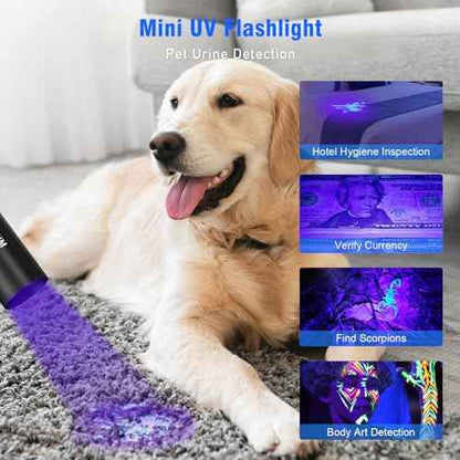 Goreit Flashlights LED High Lumens Rechargeable, 2000 Lumens XHM77.2 Super Bright Flash Light USB, Handheld Flashlight High Powered, Powerful Flashlight Waterproof for Emergency Camping Gift