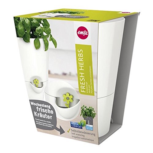 Poétic/Emsa Herb Pot for Fresh Herbs, Self-Watering, Water Level Indicator, Diameter 14 cm, Height 18 cm, Silk Grey, Fresh Herbs
