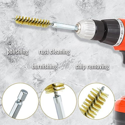 6 Pcs Brass Bore Brush Set with 1/4" Hex Shank Twisted Wire Bristles, Different Sizes (8, 10, 12, 15, 17, 19mm) for Bearing, Rust, Tube Cleaning