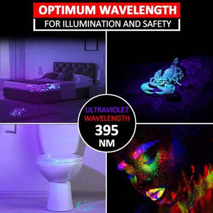 Beieverluck 10 Pack UV Black Light Flashlight Mini 395nm Pen Light with Clip LED Handheld Blacklight Detector for Leak Pet Urine Hotel Inspection Dry Stain and Bed Bug, Large