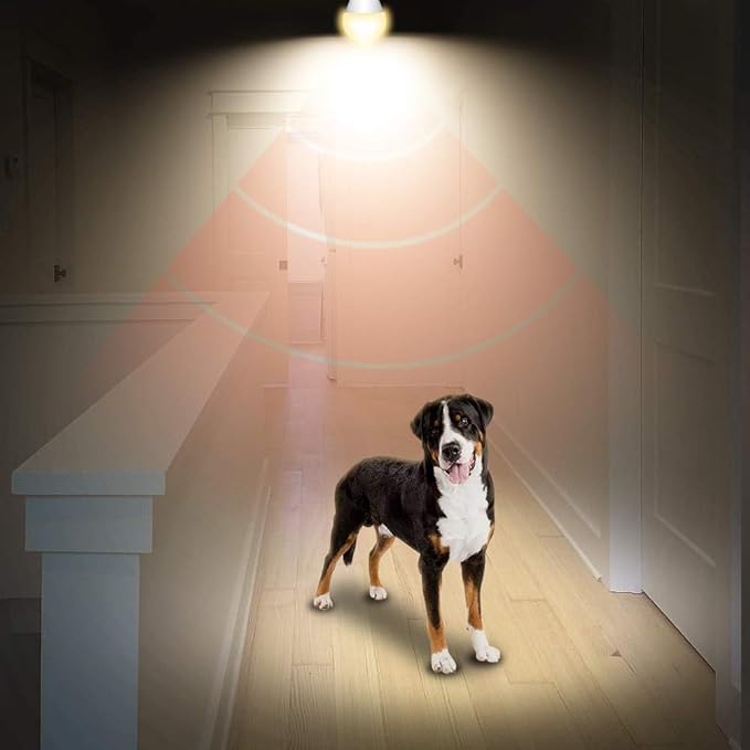 AmeriTop Motion Sensor Light Bulb- 4 Pack, 10W(60W Equivalent) 806lm Motion Activated Dusk to Dawn Security LED Bulb; UL Listed, A19, E26, Auto On/Off Indoor Outdoor Lighting (2700K Soft White)