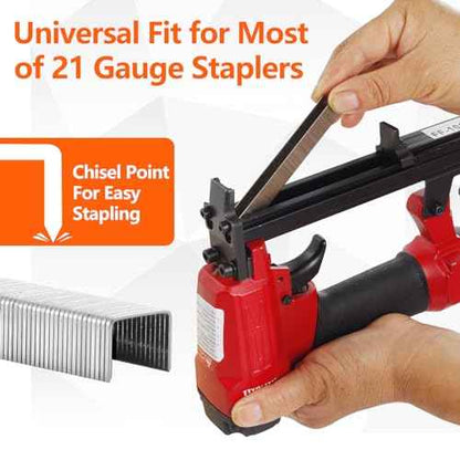 1/2 Inch Crown 21 Gauge Stainless Steel 304 Staples 1940-Count 3 Sizes for 80 Series Staple Gun, Includes: 5/16", 3/8", 1/2" Assortment, Combo kit