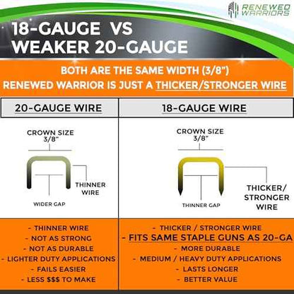 T50 Galvanized Staples - Heavy Duty 3/8" Crown, 3/8" Inch Leg Length - Fits All T50 Staple Guns - Forged in Fire & Ice, Rust Resistant - 2000 Count Pack