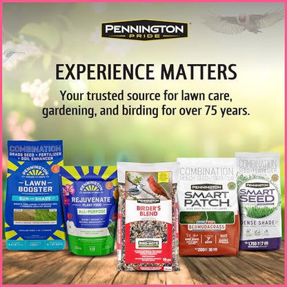 Pennington 100543828 ElectroNectar Hummingbird Food Ready to Use, Clear