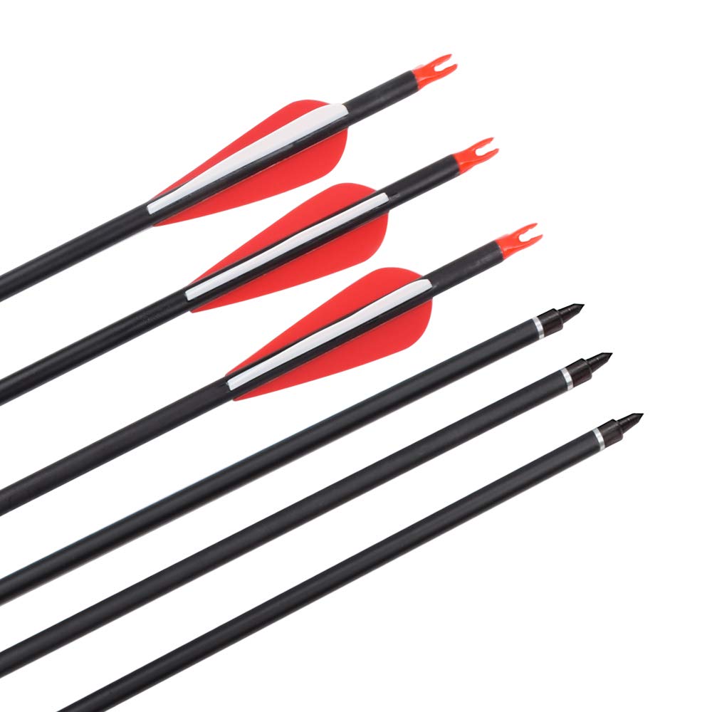 Elong 6PCS 30" Arrows for Compound Bows,Carbon Hunting Arrows for Archery Spine 500 with 100 Grain Screw Tips, for Compound & Recurve & Traditional Bow(with 6 Extra Nocks)
