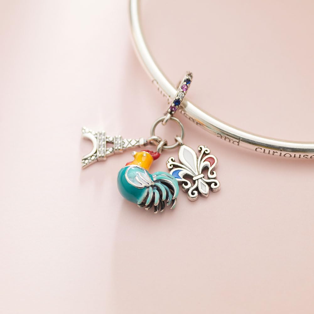 BOIGEGU 925 Silver Charms for Pandora Bracelets Le Coq gaulois/La Tour Eiffel Charm Necklace Charms Souvenirs Charm Jewellery Gifts for Women DIY Collectors