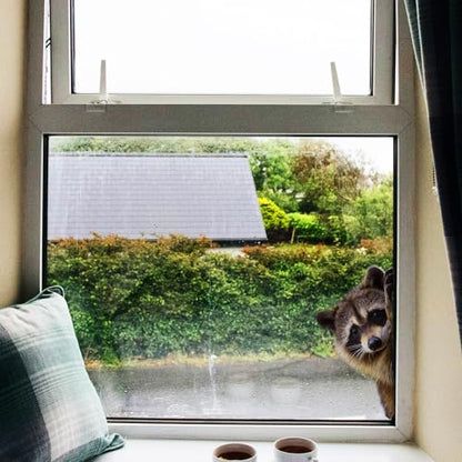 2pc Cute Raccoon Window Sticker Removable Animal Sticker for car, Room and Modern Home Decoration 29x29cm