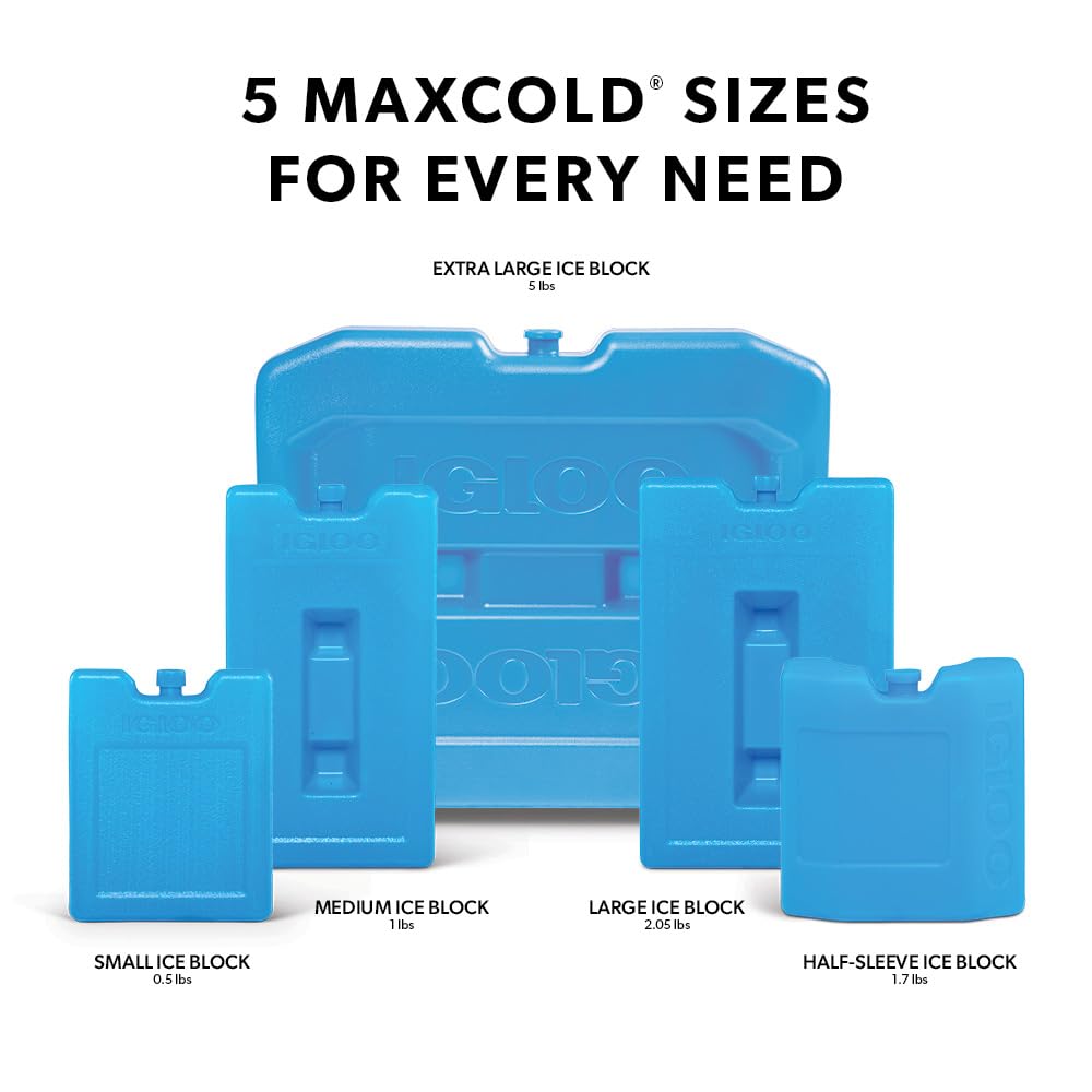 Igloo Maxcold Ice Block,4 Pieces