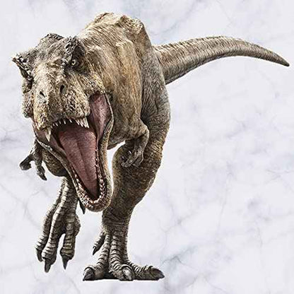 Kiddale Raptor Dinosaur Wall Stickers,Peel and Stick Removable Dinosaur Wall Decals for Kids Boys Girls Adult Bedroom Living Room
