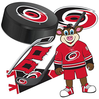Desert Cactus Carolina Hurricanes Team NHL National Hockey League Sticker Vinyl Decal Laptop Water Bottle Car Scrapbook (Type 2)