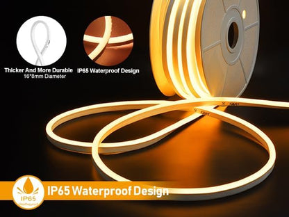 FORT AC110V 120V 100FT led Strip Lights RGB Led Neon Rope Light Driverless IP66 Waterproof Outdoor 144LEDs/m Dot Free Multicolor 100ft led Lights with Remote, Easy Installation ETL FCC