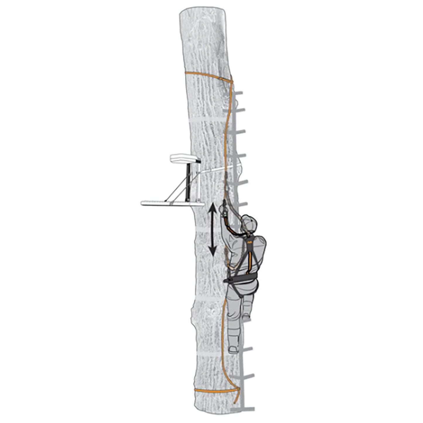 Muddy Safe Line 30 Inch (3-Pack)