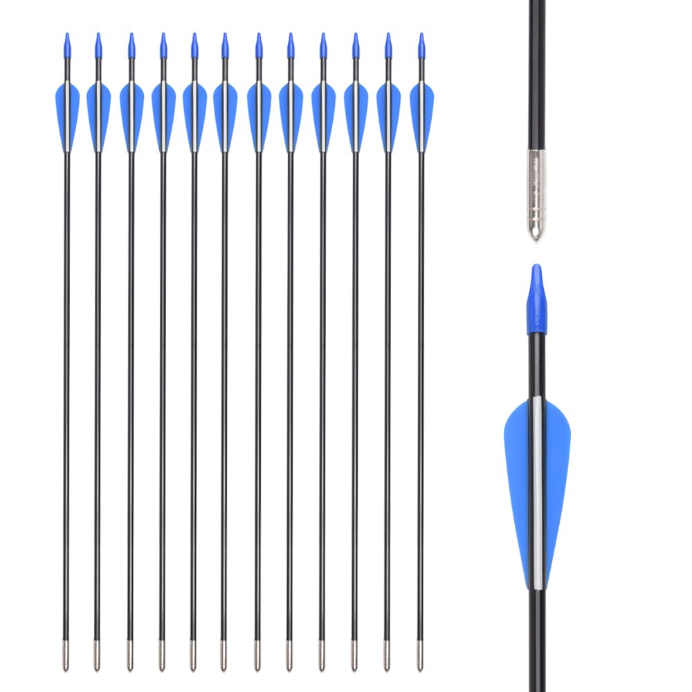 Fiberglass Arrows Archery 28 Inch Target Shooting Practice Safetyglass with Blue and White Vane for Recurve Bows Suitable for Youth Woman Beginner 6 PCS