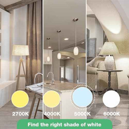 LED Light Bulbs Daylight 5000K, 60 Watt Equivalent LED Bulbs, A19 Standard Bulbs, 800 LM, 15000 Hours, E26 Base, Non-Dimmable, 8W LED Bulbs for Bedroom Living Room 48 Pack
