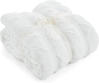 Cozy Bliss Cooling Comforter Twin Size Seersucker Plaid, Q-Max 0.4 Reversible Lightweight Cooling Blanket, Breathable Silk Smooth Summer Bedding Quilt for Hot Sleepers Night Sweats White