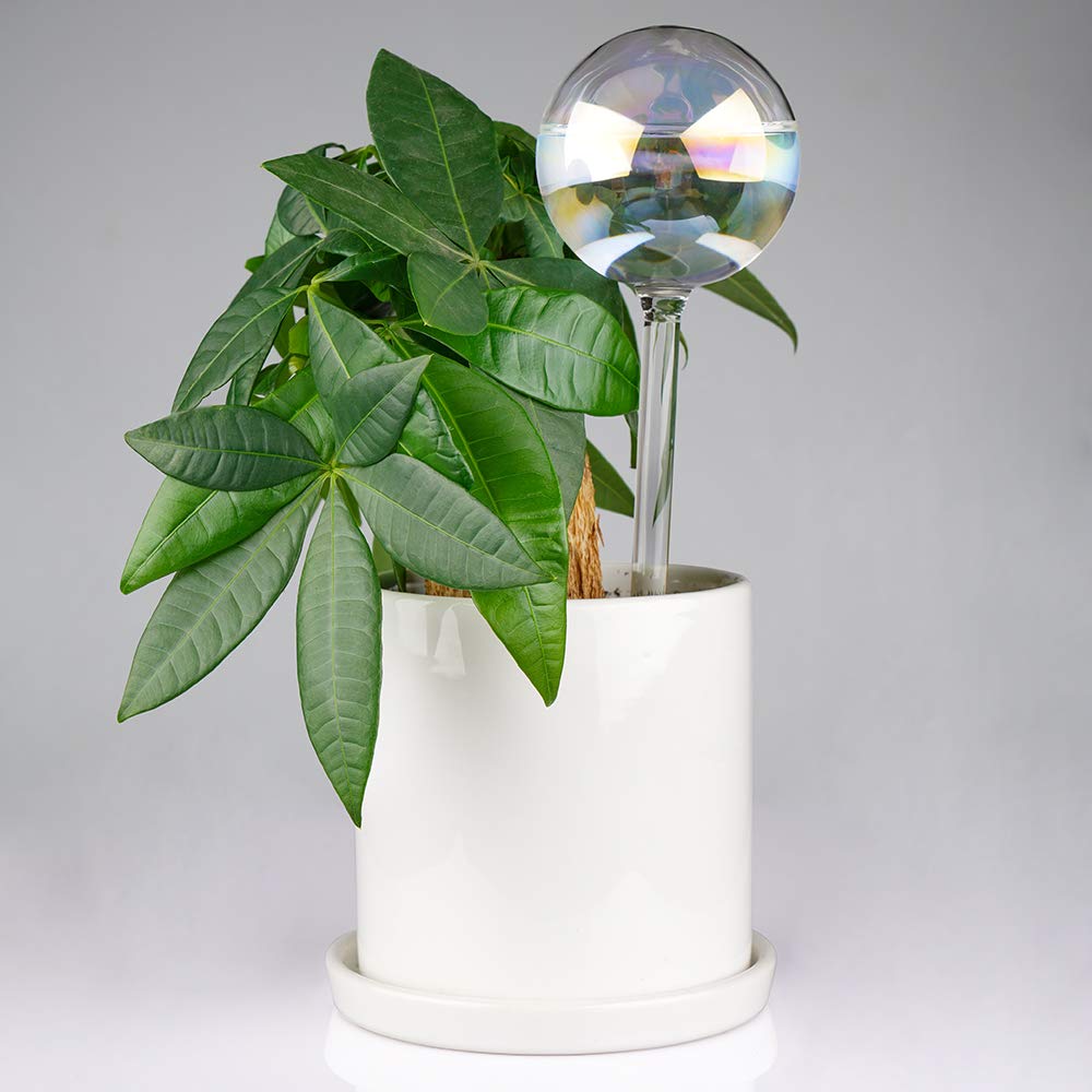[2 PCS] Light Iridescent Rainbow Gradient Color Clear Glass Self-Watering System Spikes, Automatic Plant Waterer Bulbs