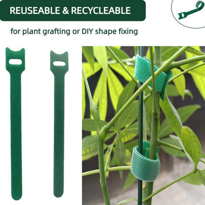 CHZKVOY, Green, Reusable, 100PCS, 6 - Inch Adjustable Anti - Slip Nylon Plant Ties & Straps Featuring Hook and Loop Fasteners - Optimal for Climbing Plants Support and Christmas Garland Ties