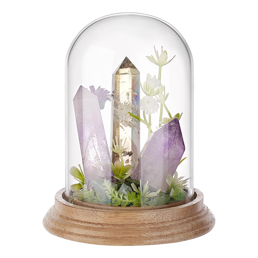 PH PandaHall 4.2" x 5.5" Glass Display Dome Cloche, Glass Dome Clear Bell Jar Display Case Tabletop Centerpiece with Solid Wood Base for DIY Snow Globes Flowers Plants Birthday Home Decor, Light Brown