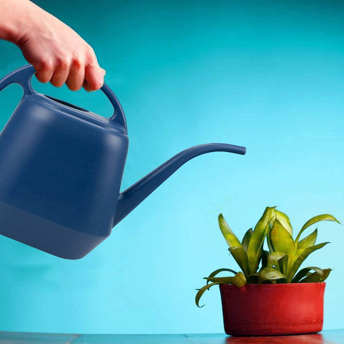 Fasmov Plastic Watering Can, Blue, 1-Gallon