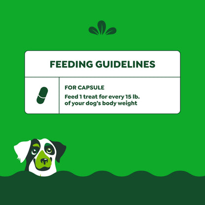 Greenies Pill Pockets for Dogs Large Size, Soft Dog Treats, with Real Peanut Butter, 15.8 oz. Pouch (60 Treats)