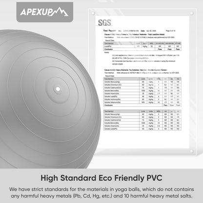 APEXUP Yoga Ball, 660 lbs Anti-Burst Exercise Ball with Pump, 5 Sizes (M (19"~22) 55cm, Silver)
