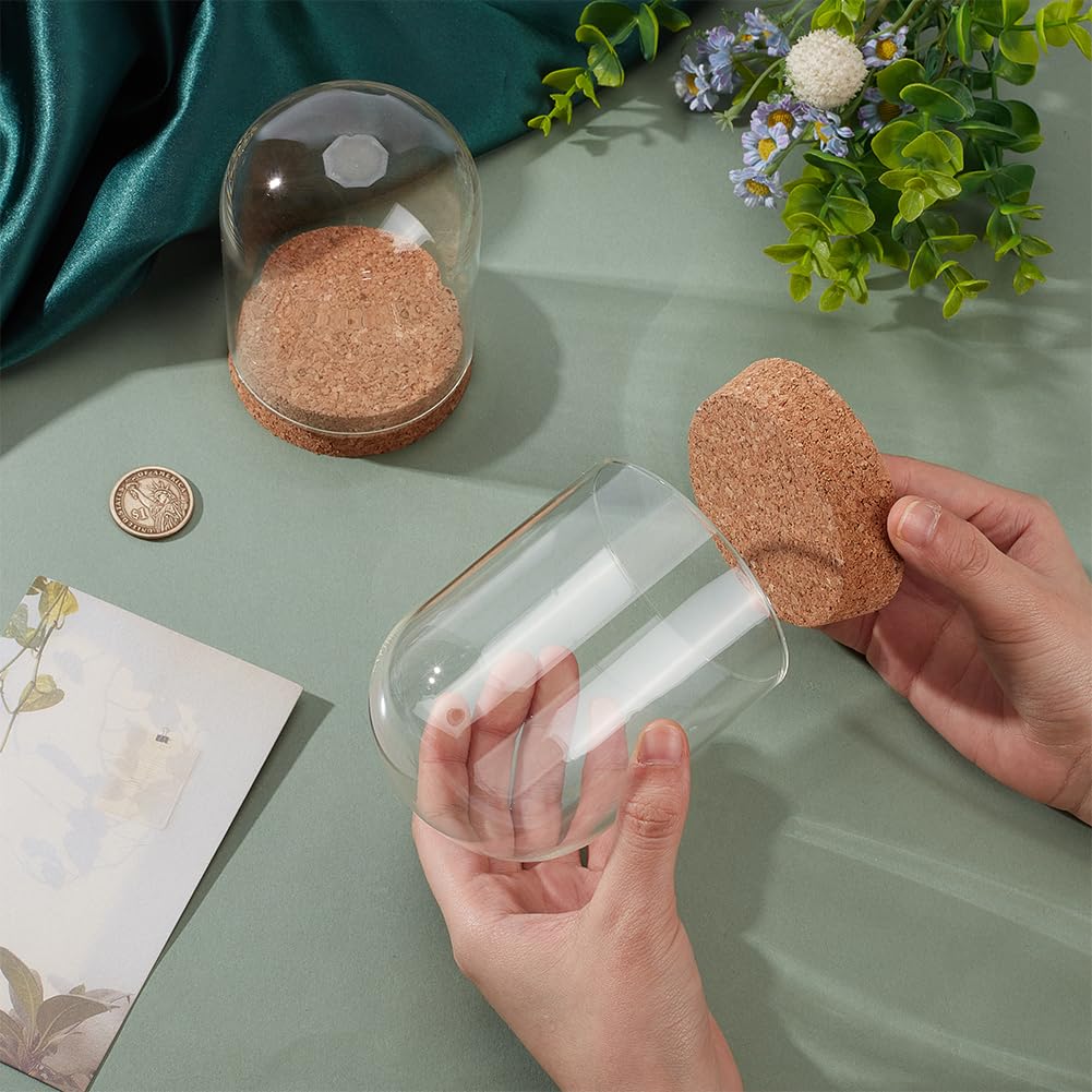 BENECREAT 2 Pcs Glass Display Cloche, 3x4.1 inches Bell Jar Dome with Cork Base, Display Dome Glass for Flower, Plant, Miniature and Craft, Home Decoration, ID: 3 inches