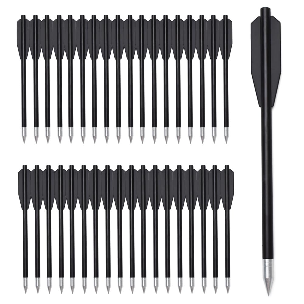 60PCS 6.3 Inch 50-80LB Mini Archery Crossbow Bolts Set with Sharp Metal Tip, Reusable Durable Arrow Dart for Shooting Target Practice, Small Hunting Game, Outdoor Fishing