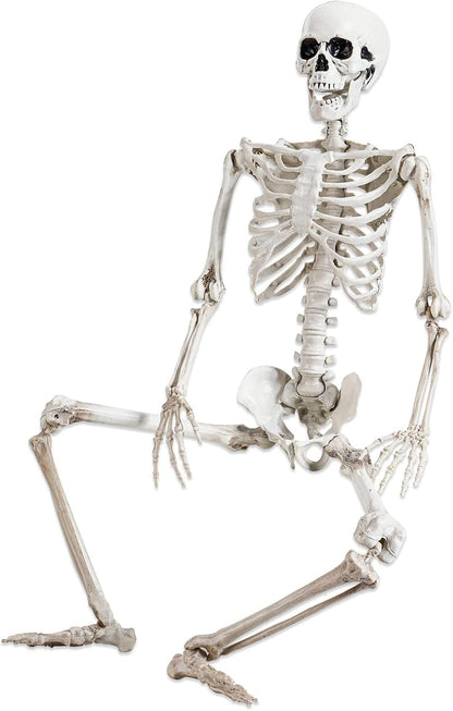 Abakuku 36" Halloween Skeleton Decorations,Human Bones for Halloween Party with Movable Joints,for Haunted Houses, Front Lawn, Graveyard Props